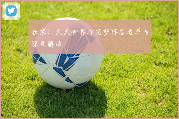 独家:天天世界杯完整阵容名单与深度解读