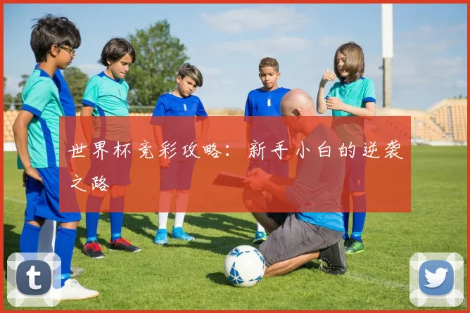 世界杯竞彩攻略:新手小白的逆袭之路