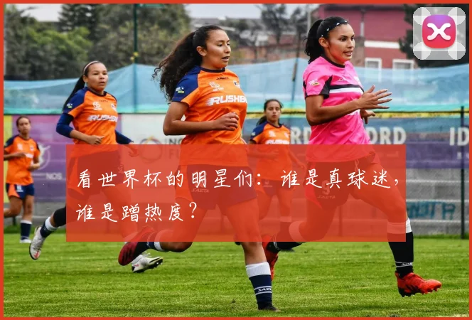 看世界杯的明星们：谁是真球迷，谁是蹭热度？