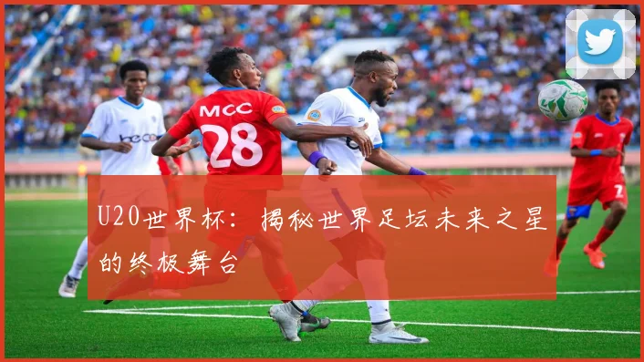 U20世界杯：揭秘世界足坛未来之星的终极舞台