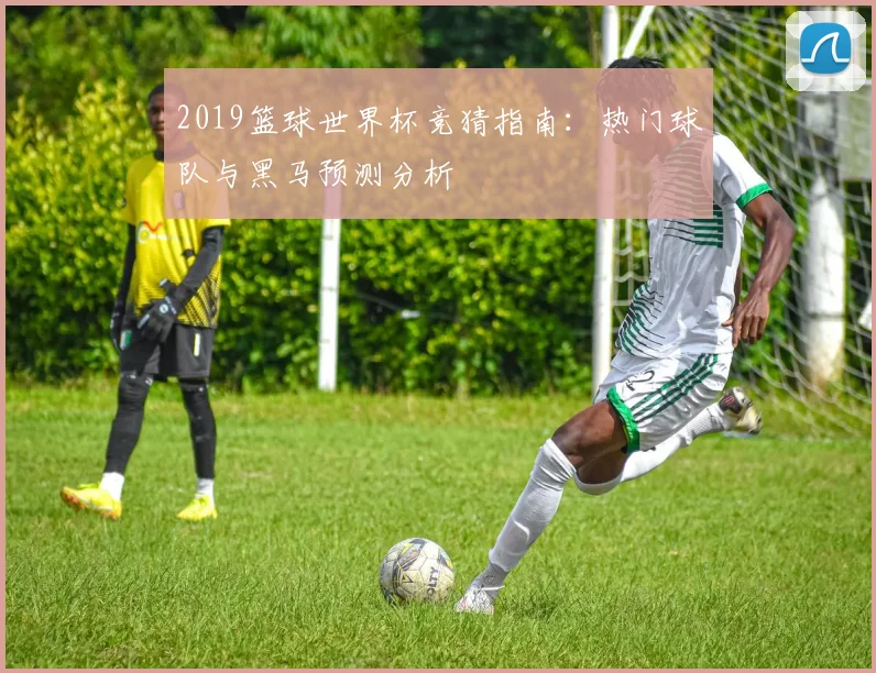 2019篮球世界杯竞猜指南：热门球队与黑马预测分析