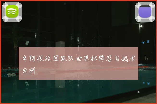 年阿根廷国家队世界杯阵容与战术分析