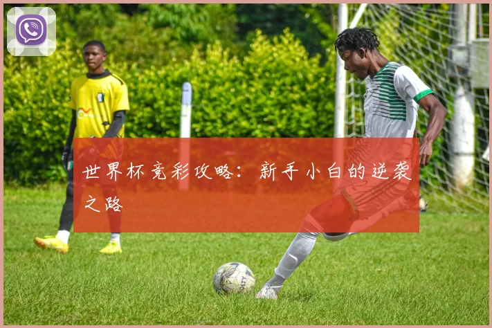 世界杯竞彩攻略:新手小白的逆袭之路