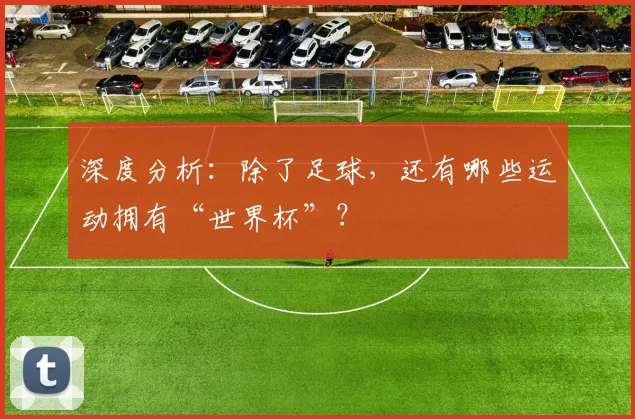 深度分析：除了足球，还有哪些运动拥有“世界杯”？