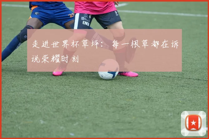 走进世界杯草坪：每一根草都在诉说荣耀时刻