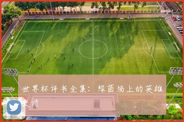 世界杯评书全集:绿茵场上的英雄史诗
