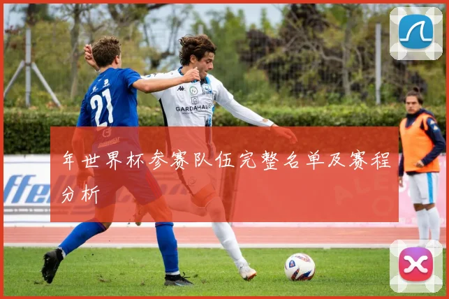年世界杯参赛队伍完整名单及赛程分析