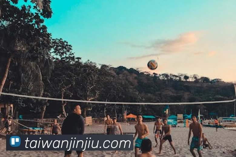 新爱体育直播APP 封面图